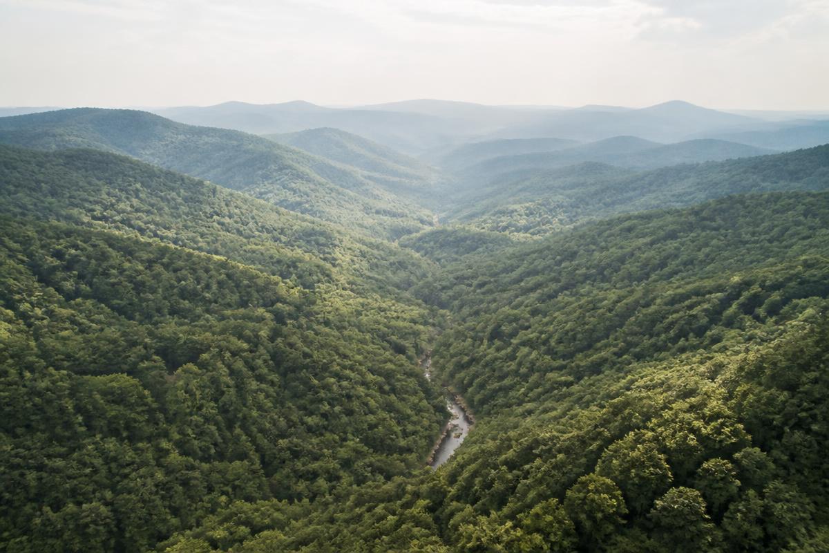 Forested valley near the East Ridge site